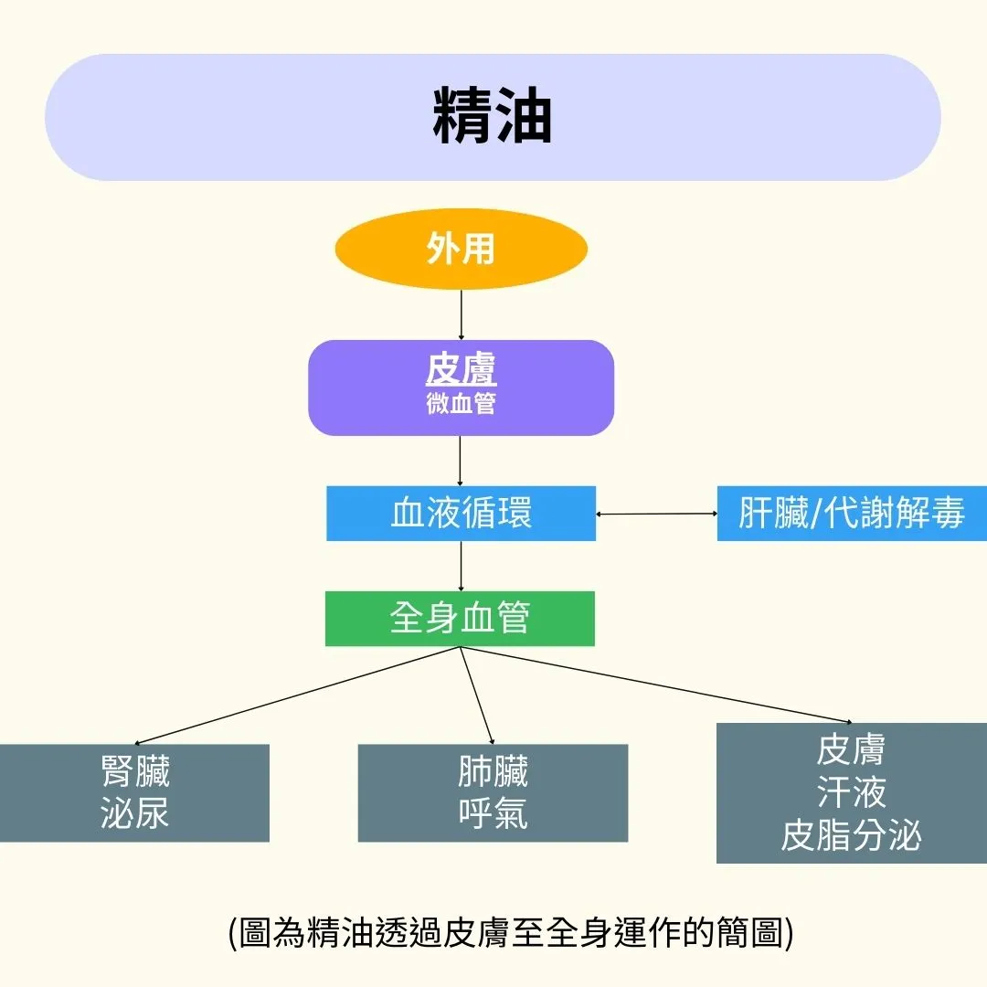 芳香療法(Aromatherapy)