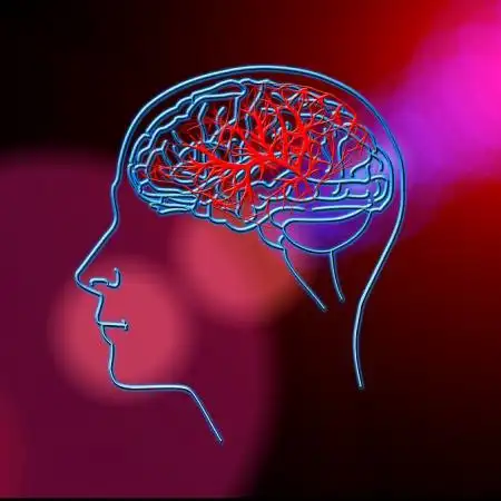 腦血管退化性疾病｜中風、動脈瘤、帕金森、腦部出血、代謝性腦病變